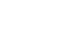 Electra logo