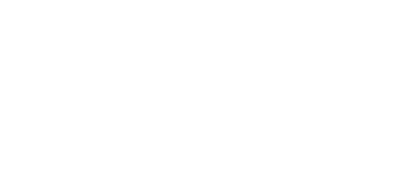 Wings for Life World Run logo